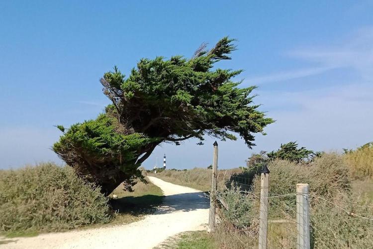 Les Hameaux Des Sables Vignie Saint Georges D Ol Ron Holiday Home Not Detached Exteriör bild
